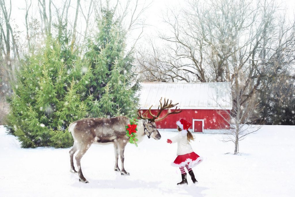 christmas update - reindeer